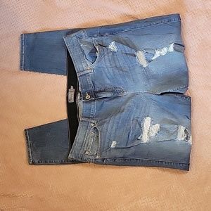 Torrid Jeans